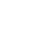 The Aesthetic Channel logo